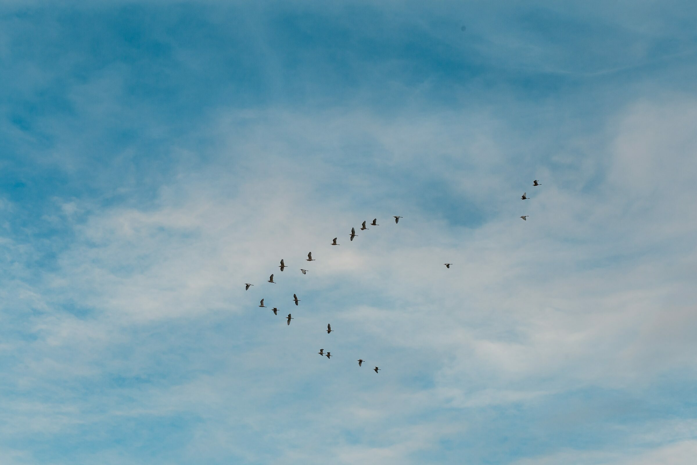 Foto de em fotografias 9