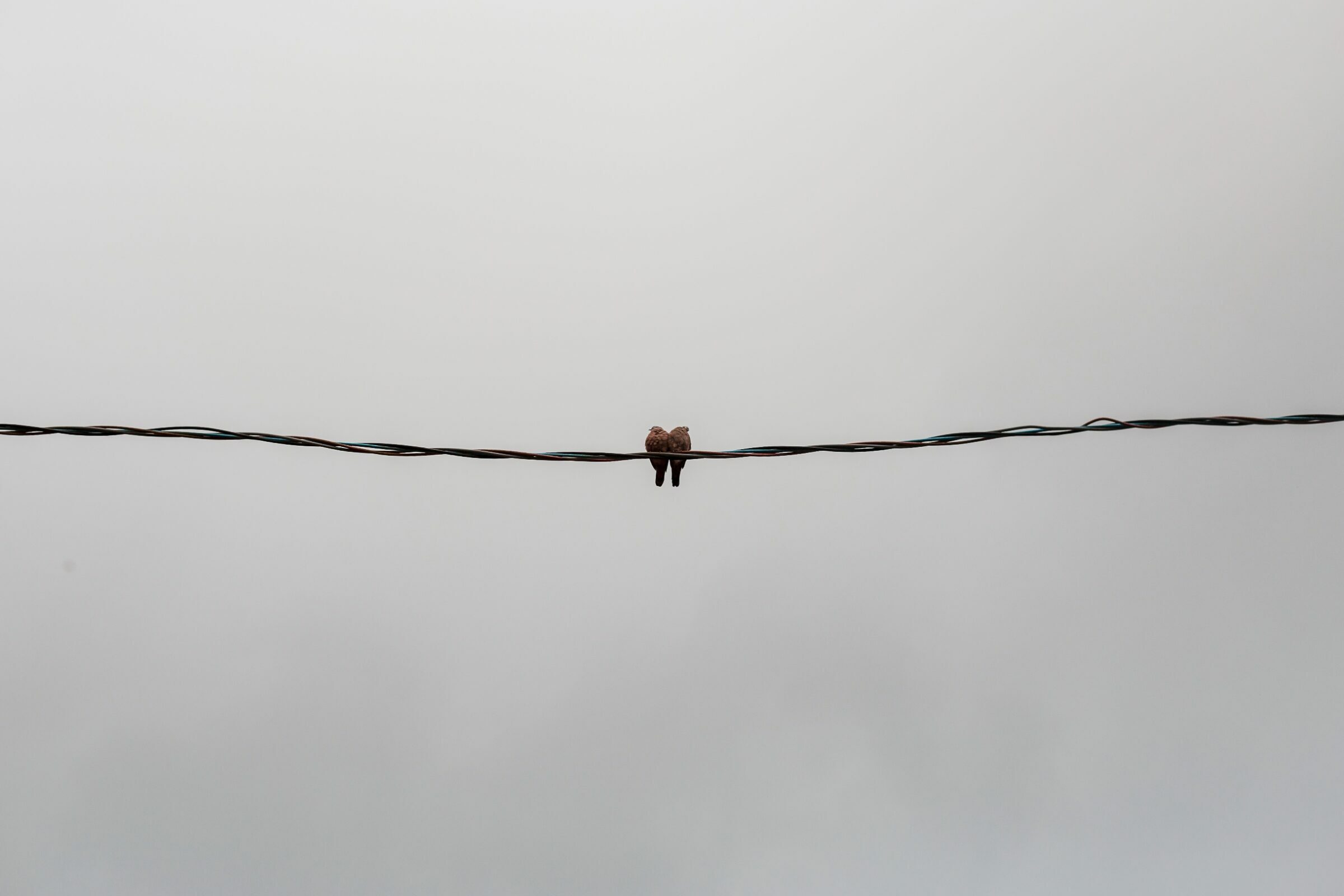 Foto de em fotografias 0