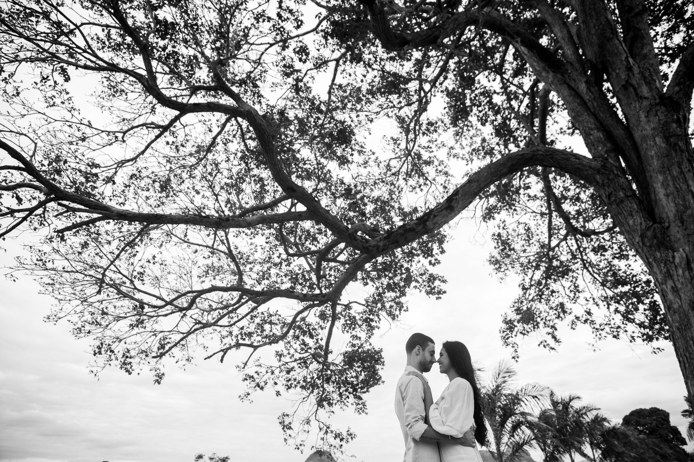 Foto de em fotografias 13